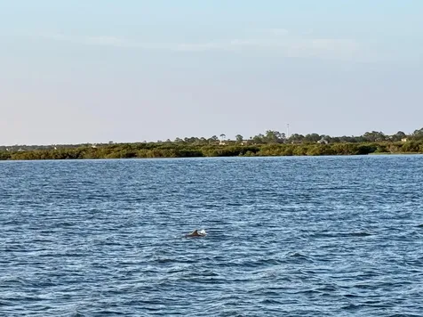 449 Domenico Circle St Augustine FL 32086