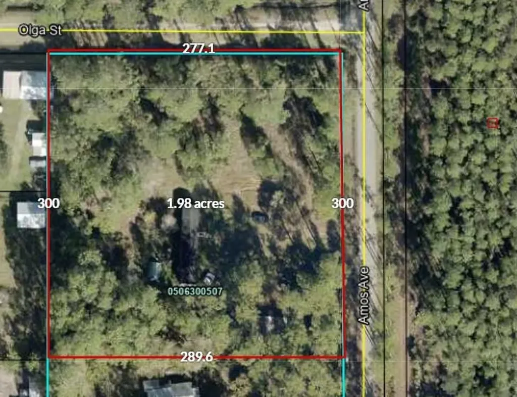 0 Amos Avenue Hastings FL 32145