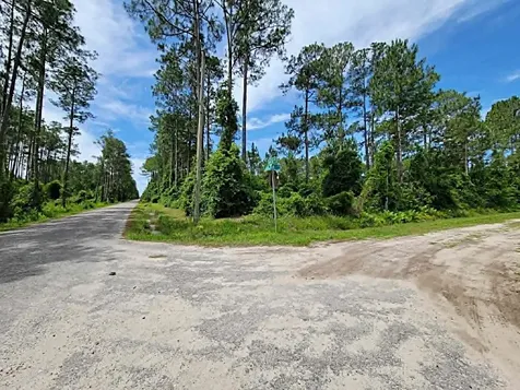 0 Amos Avenue Hastings FL 32145