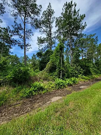 0 Amos Avenue Hastings FL 32145
