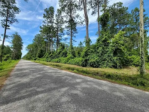 0 Amos Avenue Hastings FL 32145