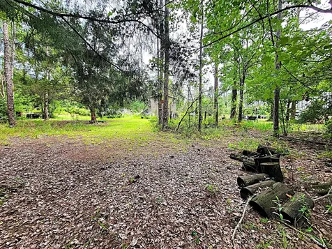 0 Amos Avenue Hastings FL 32145