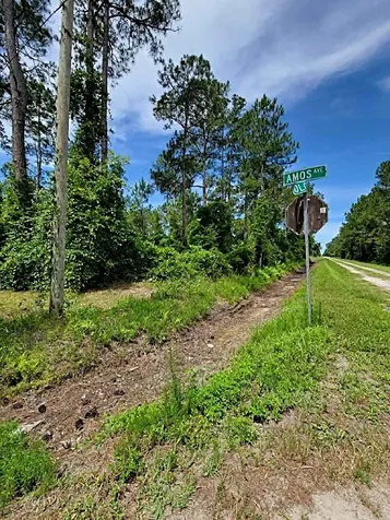 0 Amos Avenue Hastings FL 32145