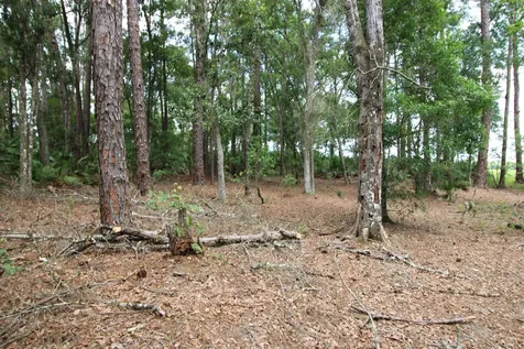 5020 Chester Street St Augustine FL 32145-0000