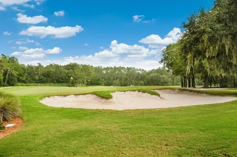 1232 Harbour Town Drive Orange Park FL 32065