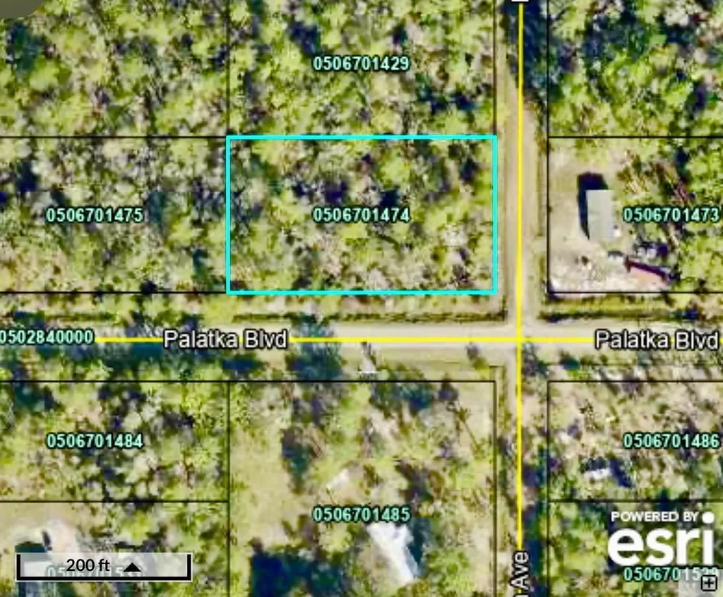 10575 Flikkema Avenue Hastings FL 32145