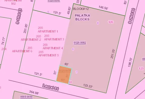 203 Laurel Street Palatka FL 32177