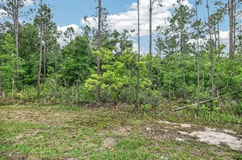 4350 Theresa Street St Augustine FL 32145