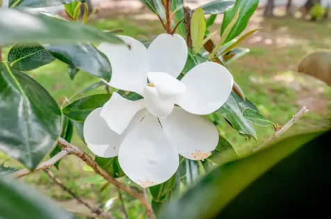 3445 Kings Road South St Augustine FL 32086