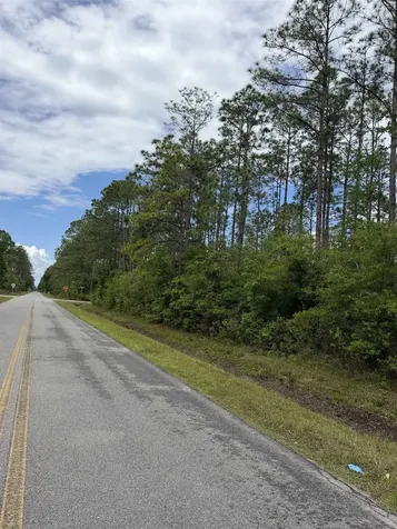 4120-1 Melanie Street Hastings FL 32145