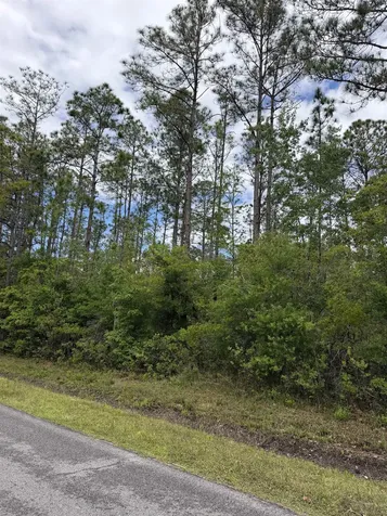 4120-1 Melanie Street Hastings FL 32145