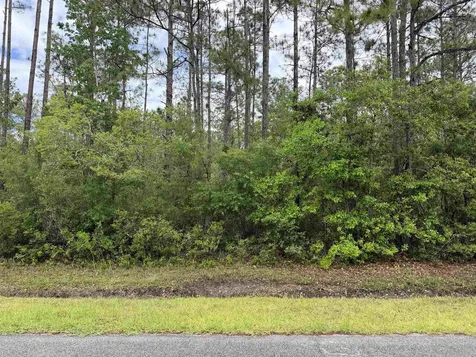 4120-1 Melanie Street Hastings FL 32145