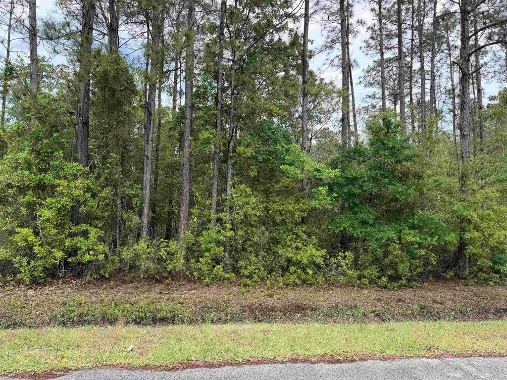 4120-2 Melanie Street Hastings FL 32145