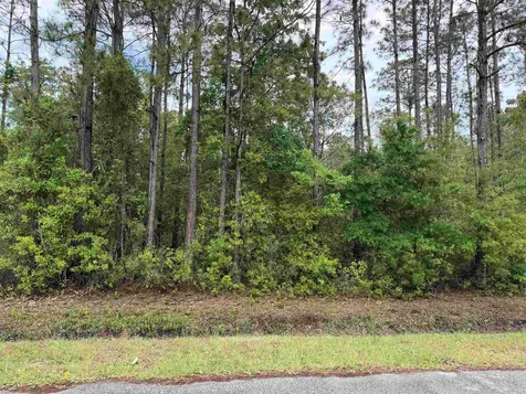 4120-2 Melanie Street Hastings FL 32145