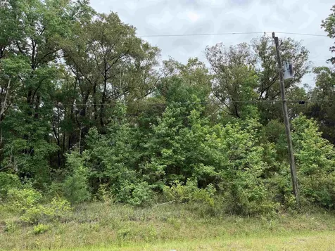 4120-2 Melanie Street Hastings FL 32145