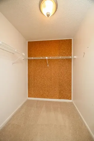 5163 Julington Forest Lane Jacksonville FL 32258
