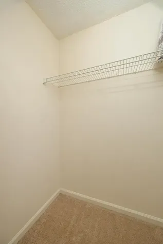 5163 Julington Forest Lane Jacksonville FL 32258