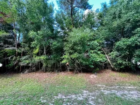 3340 Millwood Way St Augustine FL 32086