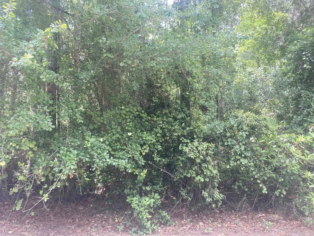 327 Palm Way Georgetown FL 32139