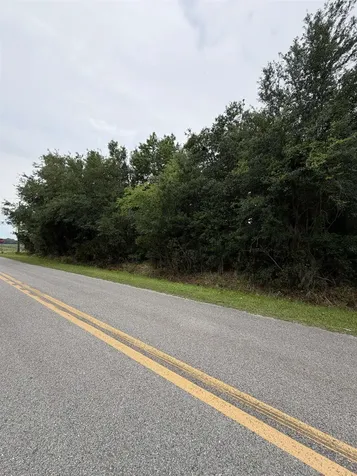 158 E Cracker Swamp Road East Palatka FL 32131