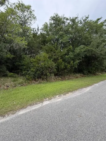 158 E Cracker Swamp Road East Palatka FL 32131