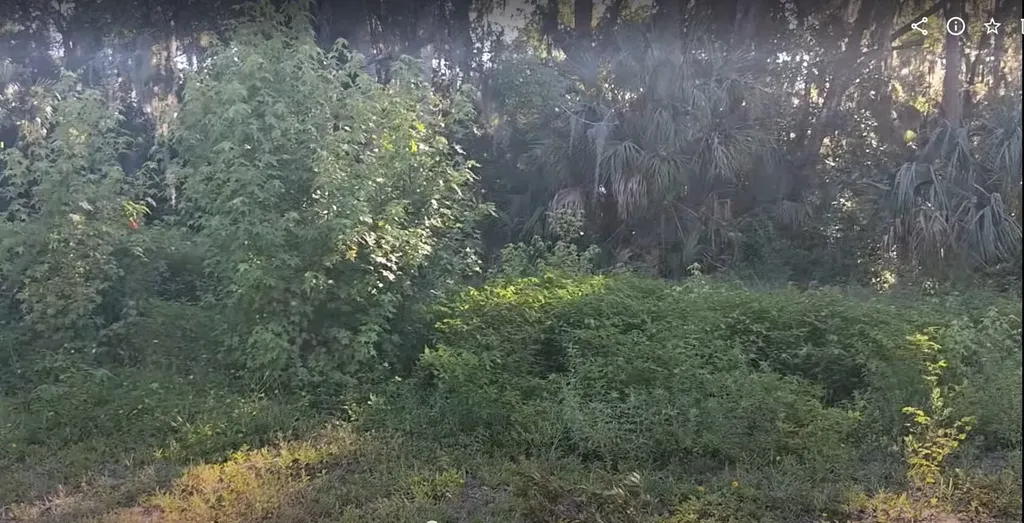 695 S Rodriquez Street St Augustine FL 32084