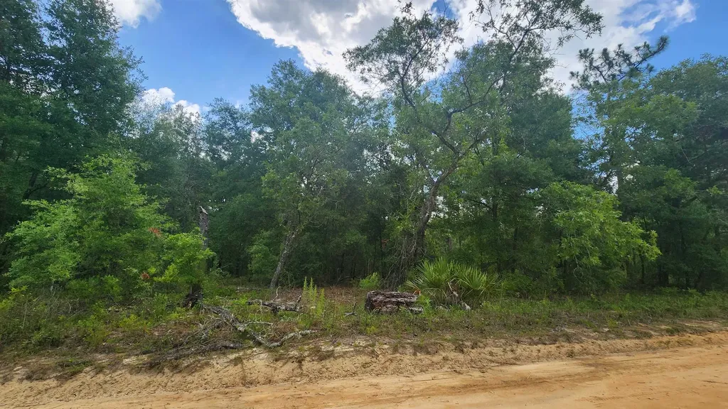 Marion Street Interlachen FL 32148