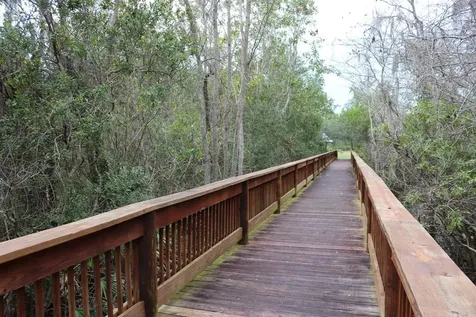251 Caretta Circle St Augustine FL 32086