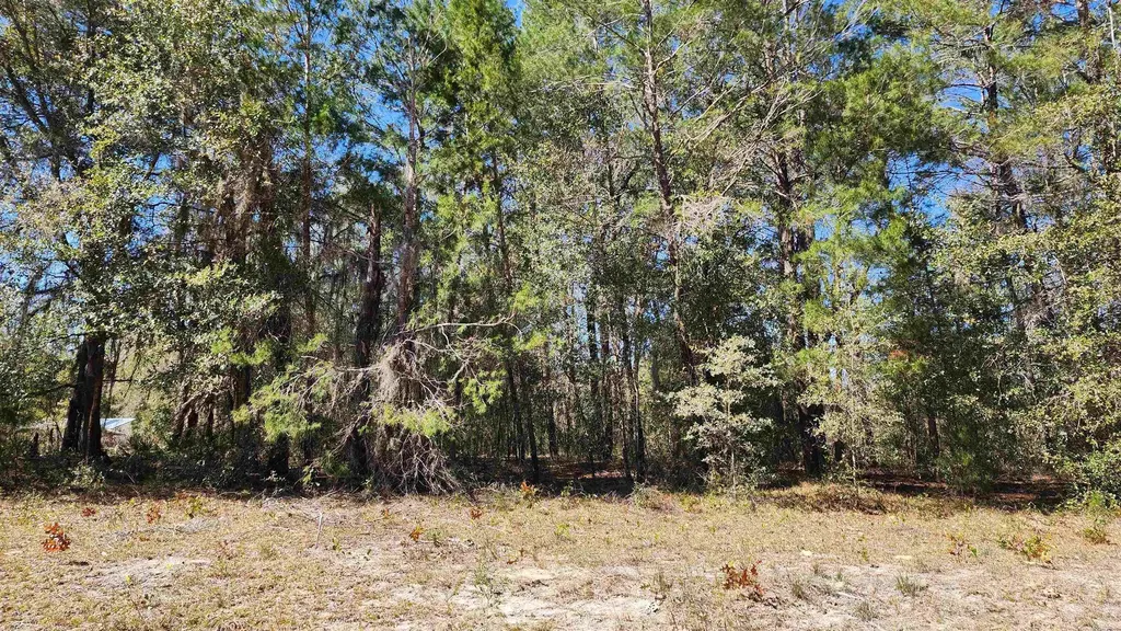 Kitty Avenue Interlachen FL 32148