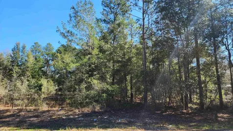 Dawn Avenue Interlachen FL 32148