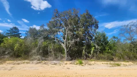 0 Birch Street Interlachen FL 32148