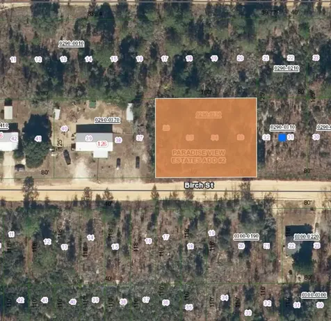 0 Birch Street Interlachen FL 32148