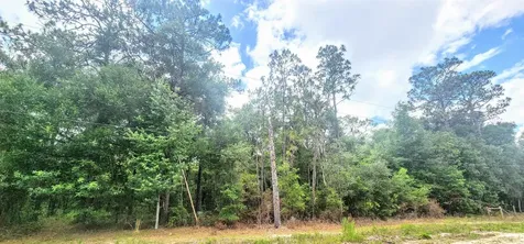 413 Pheasant Road Satsuma FL 32189