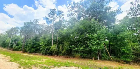 417 Pheasant Road Satsuma FL 32189