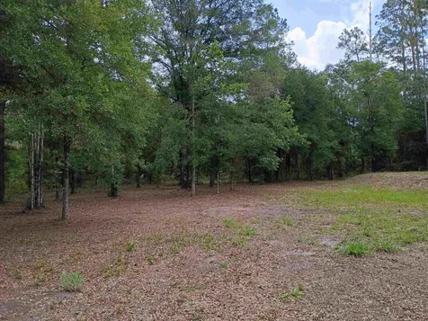 9600 Kirchherr Avenue Hastings FL 32145-0000