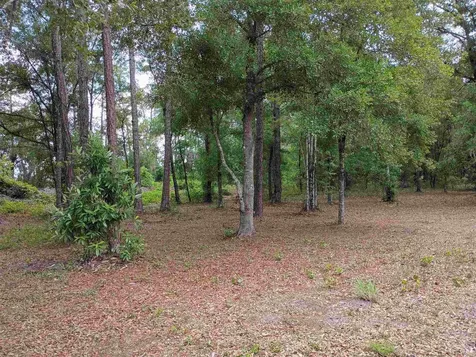 9600 Kirchherr Avenue Hastings FL 32145-0000