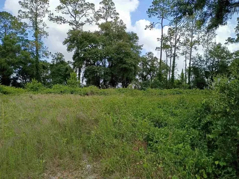 9600 Kirchherr Avenue Hastings FL 32145-0000