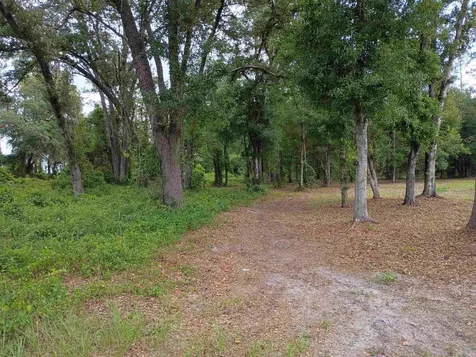 9600 Kirchherr Avenue Hastings FL 32145-0000