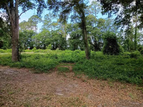 9600 Kirchherr Avenue Hastings FL 32145-0000