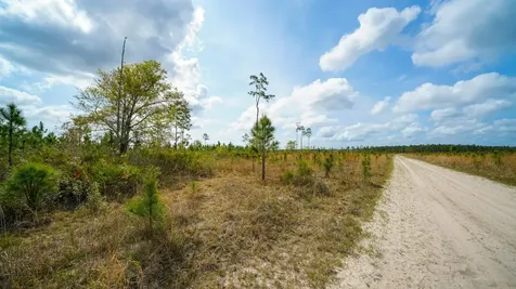 0000 Fox Road Palatka FL 32177