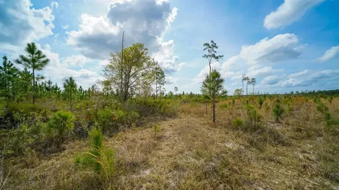 0000 Fox Road Palatka FL 32177