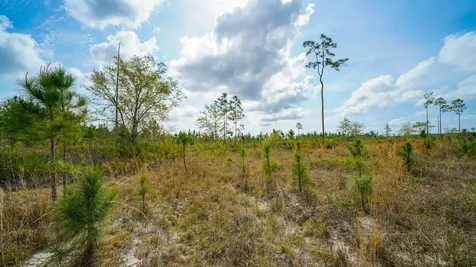 0000 Fox Road Palatka FL 32177