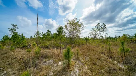 0000 Fox Road Palatka FL 32177