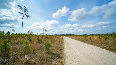 0000 Fox Road Palatka FL 32177
