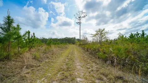 0000 Fox Road Palatka FL 32177