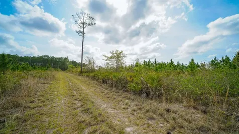 0000 Fox Road Palatka FL 32177