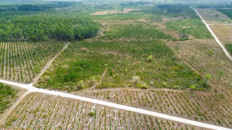 0000 Fox Road Palatka FL 32177
