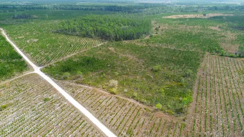 0000 Fox Road Palatka FL 32177