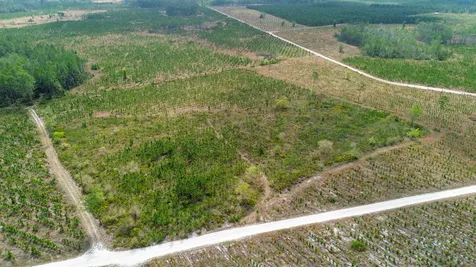 0000 Fox Road Palatka FL 32177