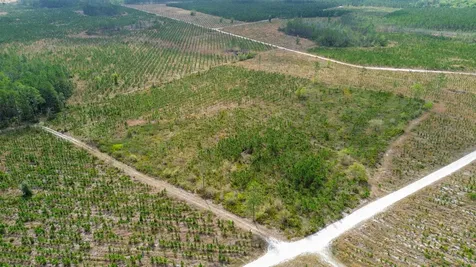 0000 Fox Road Palatka FL 32177